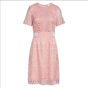 Rachel Parcell pink short sleeve lace dress XL
